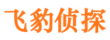 青羊市侦探公司